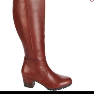 Water resistant boots